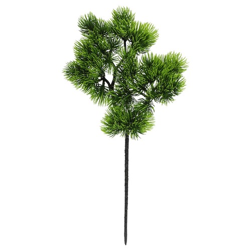 Décoration plante - décoration,