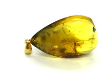 Pendentif Ambre avec Insectes