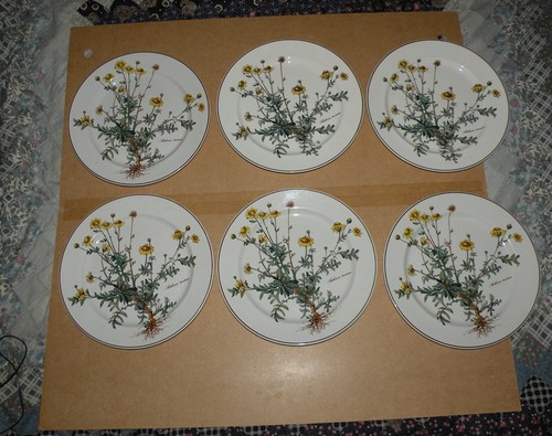 Lot assiettes botanica - lot, 6