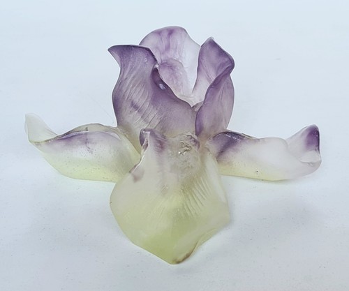 Cristallerie daum iris - daum,