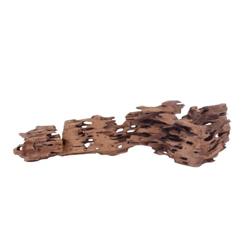 Aquaone honey comb wurzel - comb,