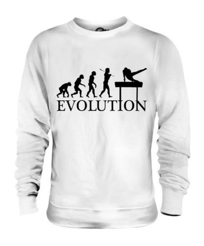 Arçon cheval évolution de - cheval,