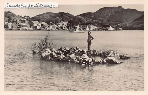 Guadeloupe saintes terre - guadeloupe,
