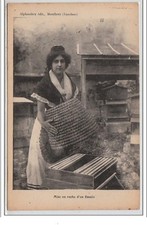 MONTFAVET : Mise en ruche d'un essaim - très bon état