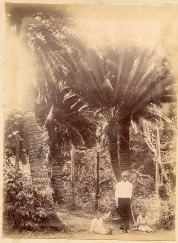 Photo ancienne martinique - photo, .
