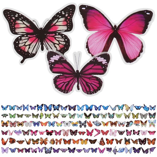240 pcs embellissement - 240, de