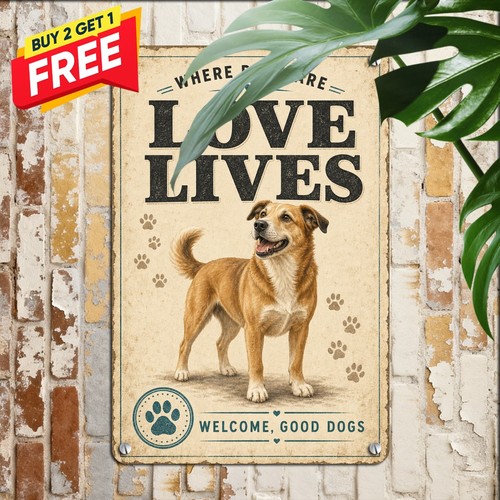 Saint bernard dog - dog, home