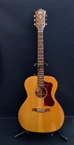 Guitare acoustique électrique