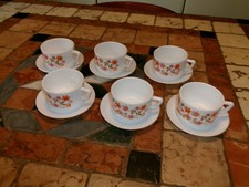 ARCOPAL DECOR SCANIA , 6