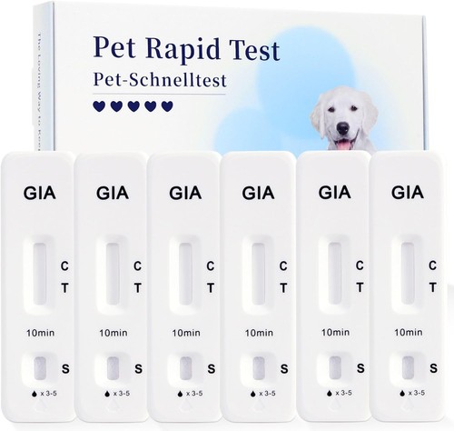Giardia lot tests rapides - 6,