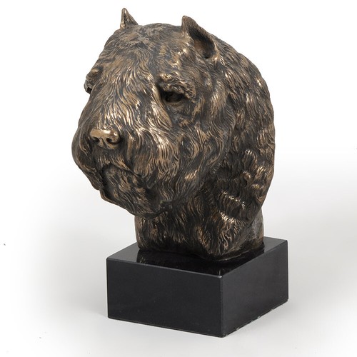 Bouvier des flandres tête sur - bouvier,