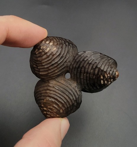 Netsuke trois palourdes - netsuke,