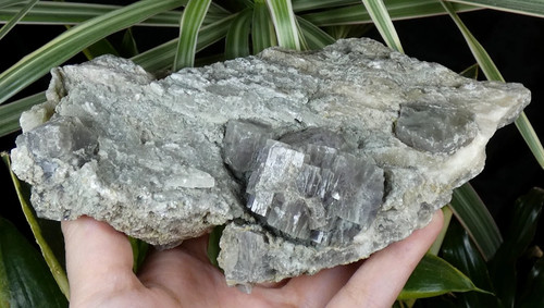 Xxl aragonite mauve sur gypse - xxl,