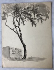 DESSIN lavis d'AQUARELLE ARBRE