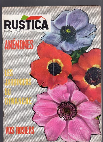 Rustica 1961 anémone - n°50,