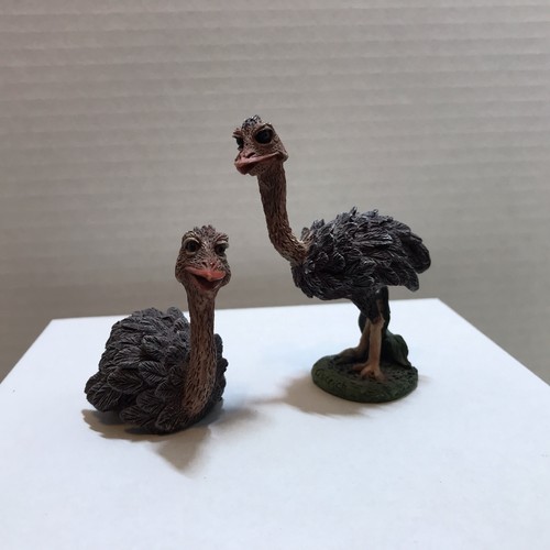 Holy herd ostrich oscar - ostrich, &