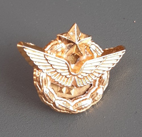 Insigne pins brevet - insigne,