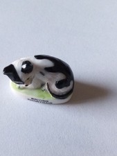 Fève Petit Chat British Shorthair