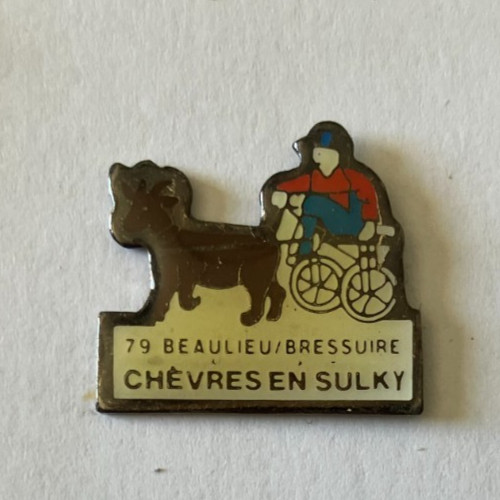 Pin chevres en - pin's,