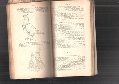 Livre ancien militaria - militaria, l'eleve