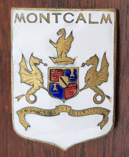 Insigne marine fnfl france - marine,