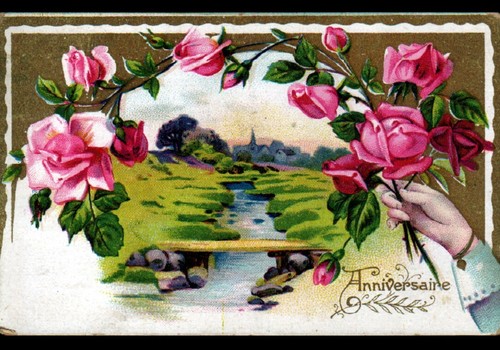 Anniversaire fleurs rose - /, &