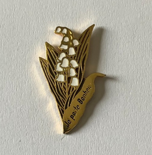 Pin porte bonheur - porte,