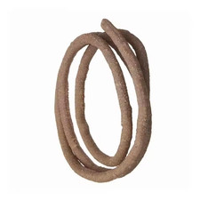 Vignes de Reptile pour décor