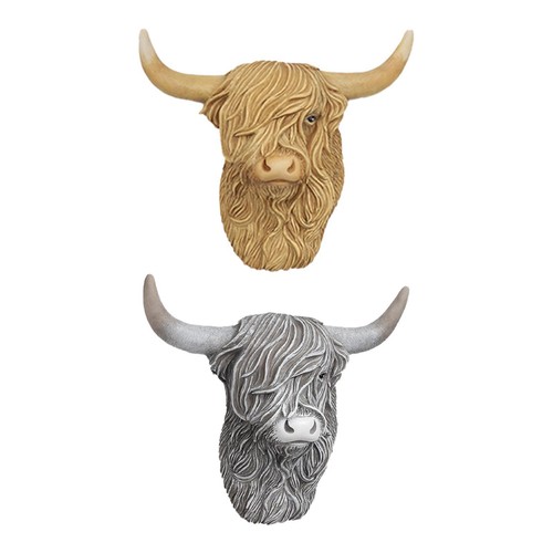 Tête vache highland - tête, de