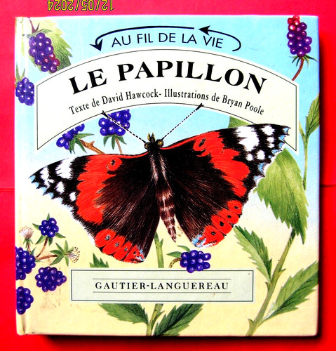 Papillon hawcock poole - le, &