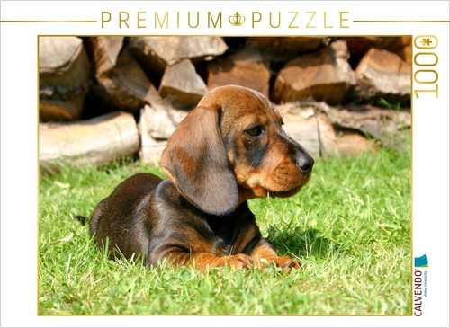 Puzzle calvendo chiot teckel - puzzle,