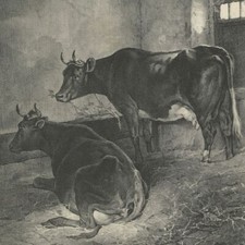 Horace Vernet Étable à vaches Lithographie Volmar XIXe siècle