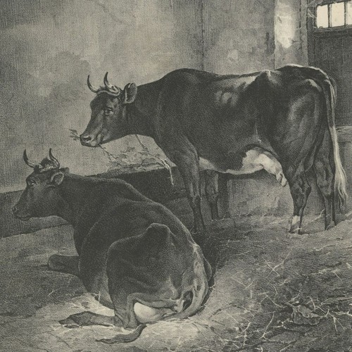 Horace vernet étable - Étable, à