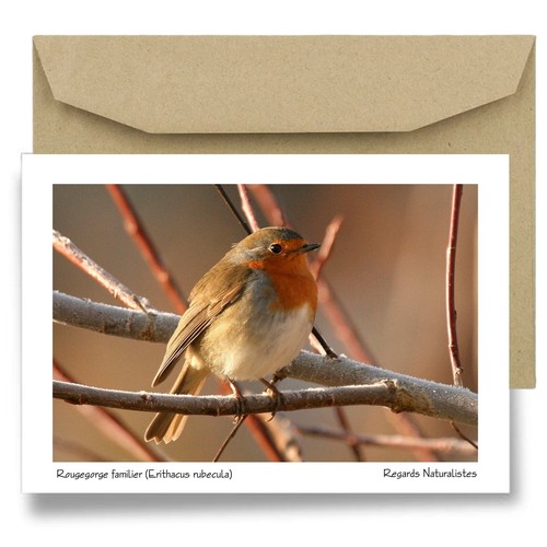 Carte postale papier aquarelle