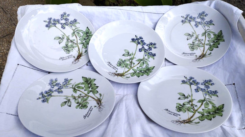 Assiettes porcelaine mobil - assiettes,