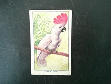 CARTE IMAGE BON POINT LES OISEAUX LE CACATOES N° 32 ANEMIE SIROP DESCHIENS