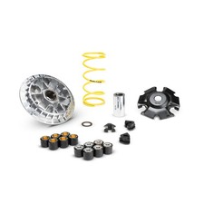 Variateur MALOSSI Multivar