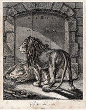 Lions Löwe Animaux Gravure J. E. Ridinger 1738