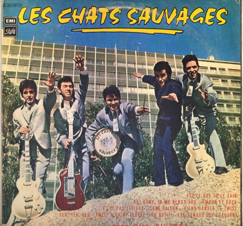 Les chats sauvages est - chats, que