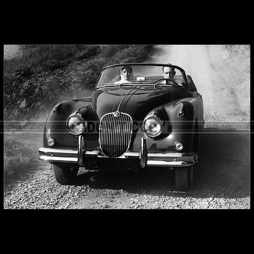 Photo 017458 jaguar 150 - photo,