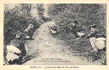 CPA 46 MIERS / LES ENTRAVES / EFFET DE L'EAU DE MIERS