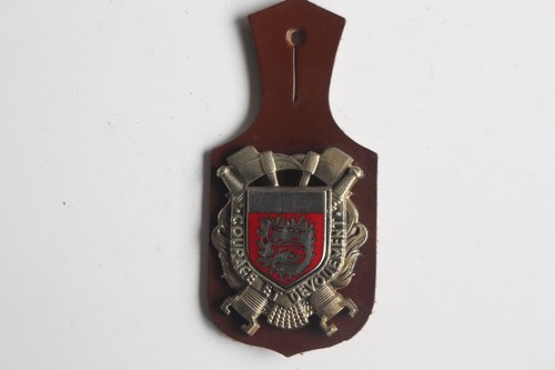 Insigne pompier var - insigne, (42862)