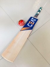 Batte de cricket en saule