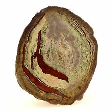 Lithophyse. 427.0 ct. Massif