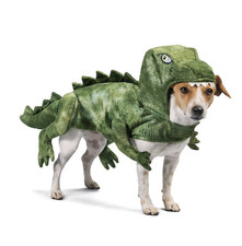 Petsmart Dinosaur Costume