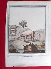 118 GRAVURE XVIIIe  Histoire