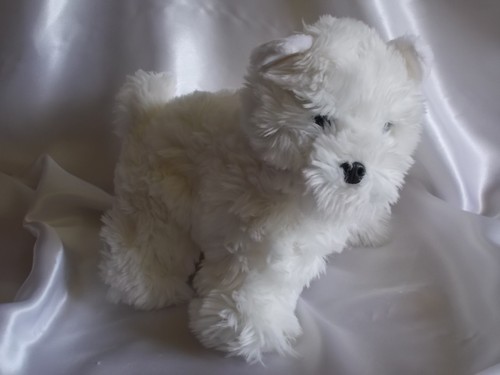 Doudou chien fourrure blanc