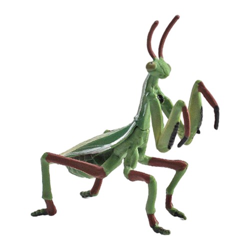 Modèles insectes miniatures - d'insectes,