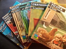 AMI-AMIS Images de la Nature