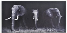 Cadre tableau toile Eléphant